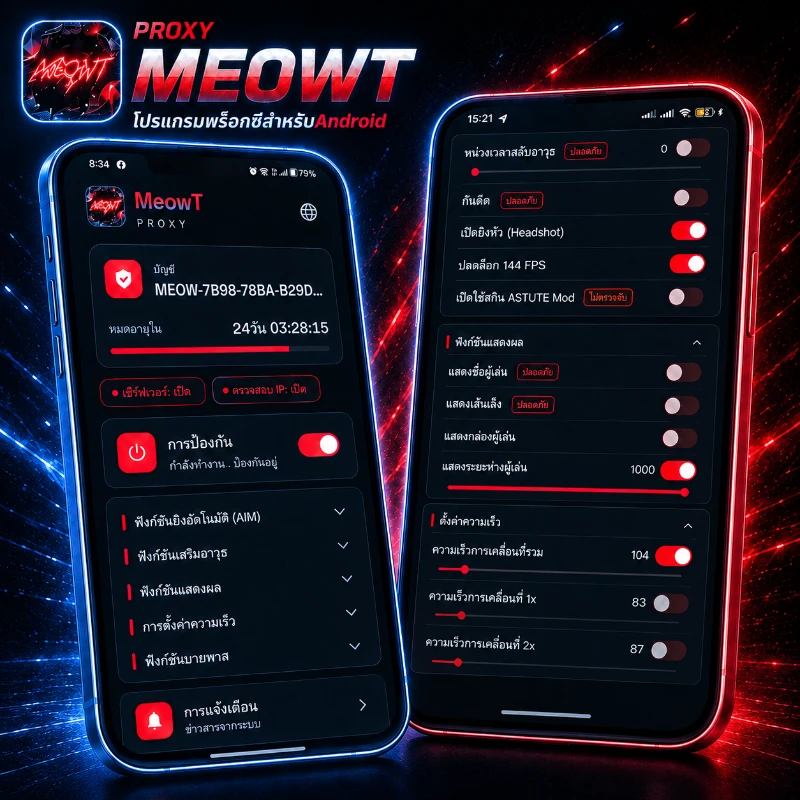 PROXY MEOWT